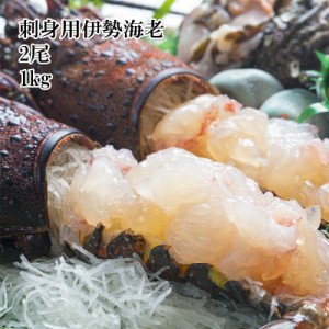 国産 刺身用 生食用 生伊勢海老 2尾セット 1kg 伊勢海老 伊勢エビ イセエビ 活締め 冷凍 どれでも5品で送料無料