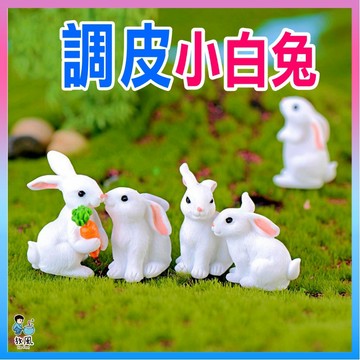 台灣免運出貨【調皮小白兔】小白兔|8種兔兔|魚缸造景|水族造景|微景觀造景|水族|園藝造景|多肉|盆栽|造景|辦公室小物