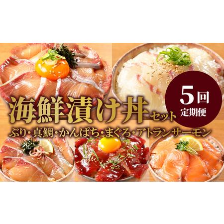 ふるさと納税 日向灘 お魚の漬け丼 バラエティ 5回 定期便　N019-ZD0117 　請関水産 宮崎県延岡市