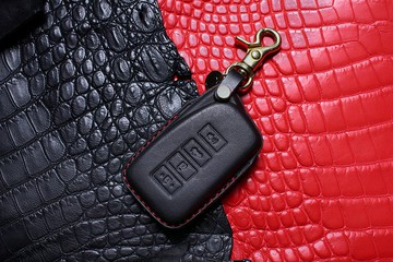 凌志 Lexus IS300 ES RX350 NX200 UX250H 汽車鑰匙包 鑰匙皮套