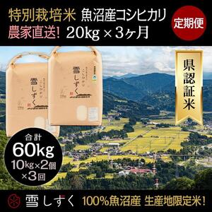 定期便！農家直送！県認証特別栽培魚沼産コシヒカリ毎月20kg×3回