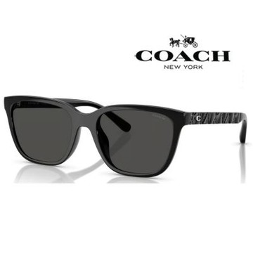 【COACH】亞洲版 時尚太陽眼鏡 精緻立體鏡臂設計 HC8429D 500287 黑框深灰鏡片 公司貨(加贈掛式眼鏡袋)
