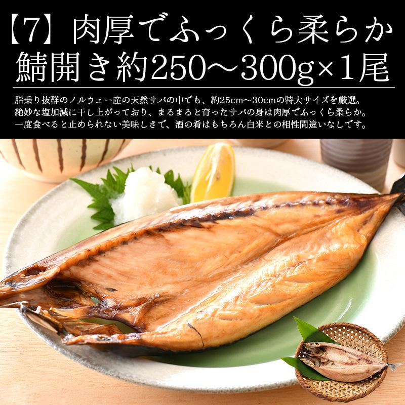 福袋 10種入り カニ 牡蠣 いくら醤油漬け 鯖 銀鱈 西京漬け ネギトロ 鯖開き 辛子明太子 蟹みそ ホタテ 冬グルメ 冬ギフト