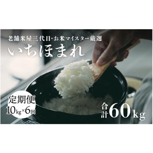 ふるさと納税 福井県 鯖江市 6ヶ月連続定期便】令和5年産 いちほまれ 10kg × 6回  計60kg （4月上旬、5月上旬、6月上旬、7月上旬、8月上旬、9月上旬…