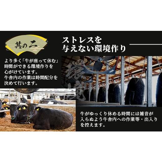 ふるさと納税 佐賀県 鹿島市 A5等級 佐賀牛 焼肉用 400gロース モモ ウデ バラ B-616