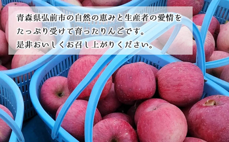 訳あり 家庭用 ちとせ村サンふじ 約5kg