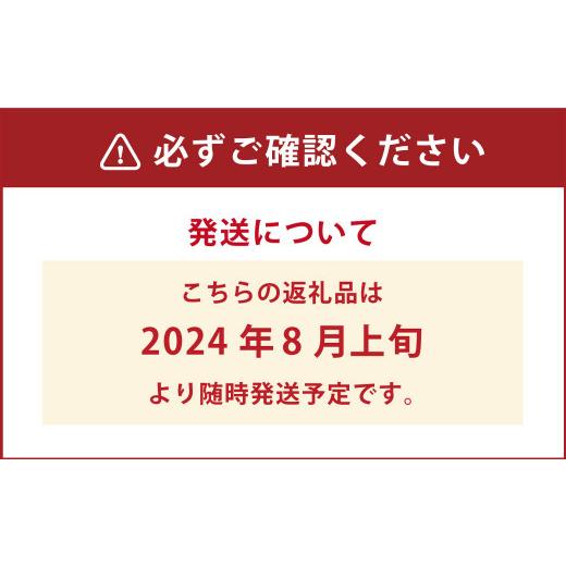 ふるさと納税 大分県 竹田市 久住高原童心回帰農場の自然栽培フローズンブルーベリー1kg 冷凍 ブルーベリー