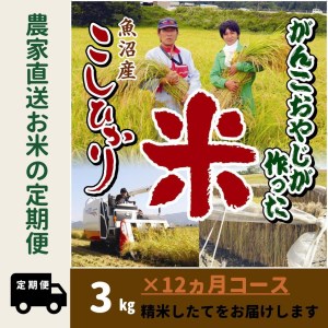 令和５年産新米がんこおやじが作った南魚沼産コシヒカリ白米３kg