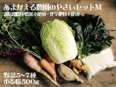 あまがえる農園のやさいセットM（栽培期間中農薬・化学肥料不使用）