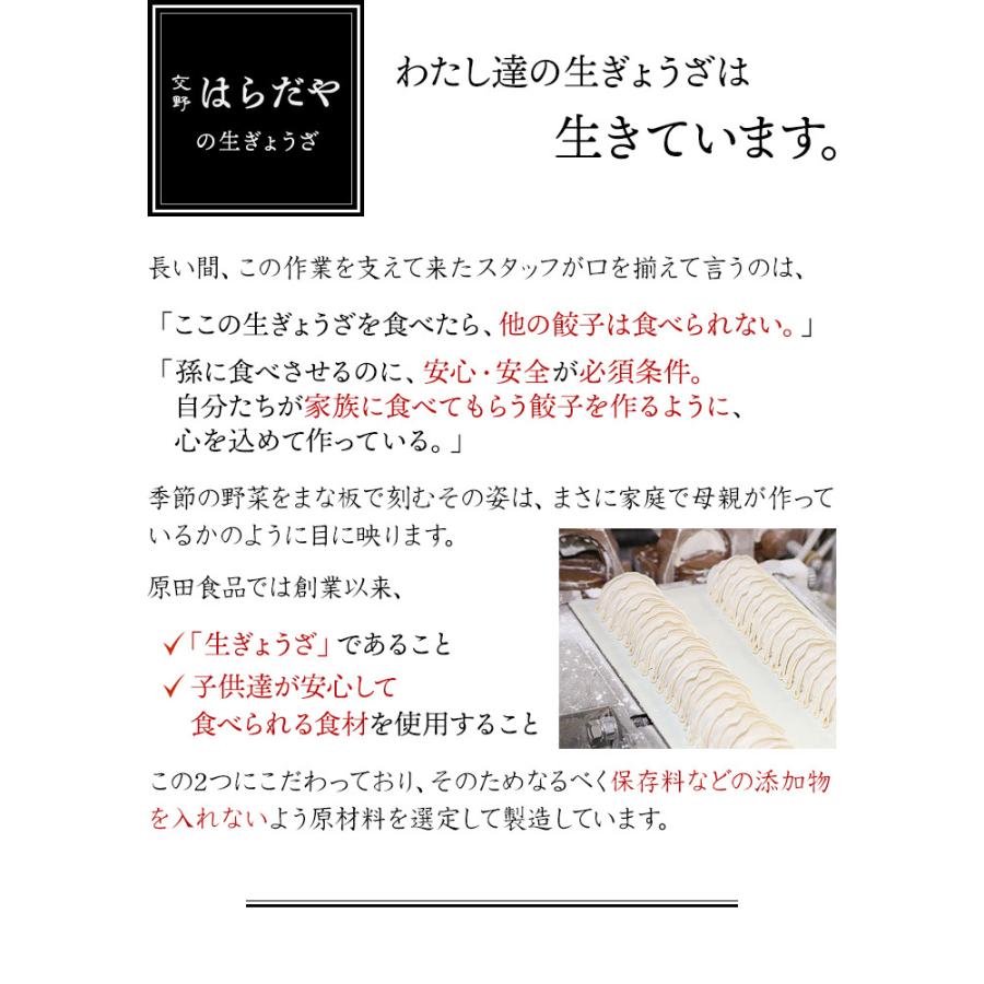 交野はらだや 星 生ぎょうざ 6パック ギフトボックスセット(無添加)(国産素材) お歳暮 のし対応可