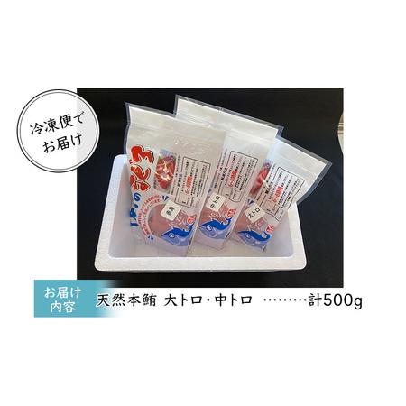 ふるさと納税 本まぐろ　大トロ・中トロ・赤身セット 500g 鮪 本鮪 本マグロ マグロ 刺身 刺し身 海鮮 サク  静岡県静岡市