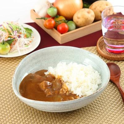 素材のよさを生かしてつくられた 懐かし味の華カレー＆牛の華カレー3種セット 送料無料 ポイント消化