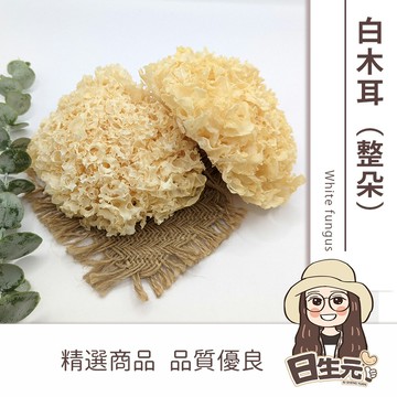 【日生元】 生機 白木耳 300g 整朵 銀耳 雪耳  兩種包裝隨機出貨 歡迎批發