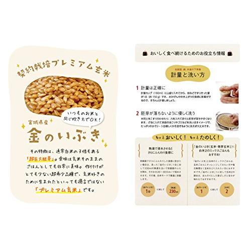 玄米食用 PREMIUM 玄米 金のいぶき 5kg