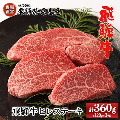 ふるさと納税 下呂市 飛騨牛ヒレステーキ　120g×3枚 