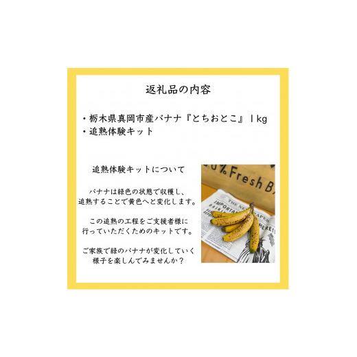 ふるさと納税 栃木県 真岡市 真岡市産 バナナ とちおとこ 真岡市 栃木県 送料無料