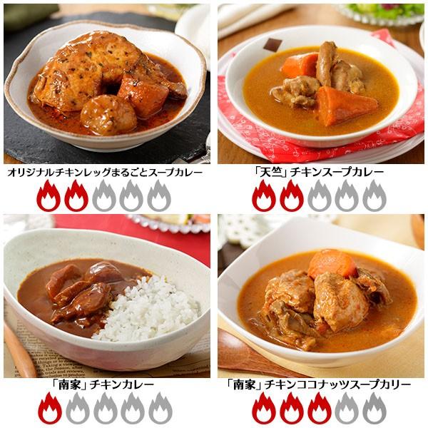 御歳暮 スープカレー レトルト 業務用 10食セット 北海道 お取り寄せ グルメ ギフト 食べ物