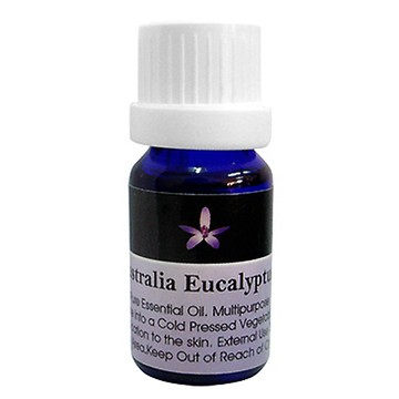 BODY TEMPLE 100%澳洲尤加利(Eucalyptus)芳療精油10ml