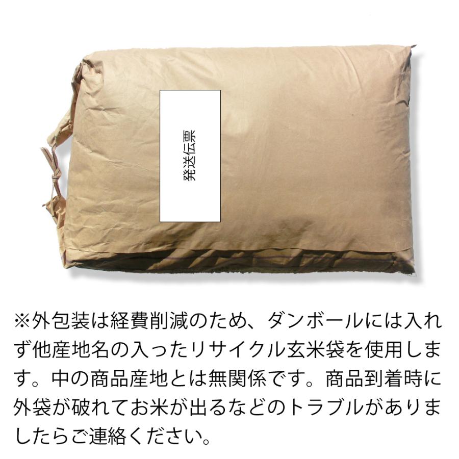 米 25kg お米（5kg×5袋）にじのきらめき 新米 令和5年 栃木県産