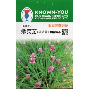 【拈花微笑】蝦夷蔥｜農友牌｜小包裝種子｜200粒/包 蔬菜｜香草植物｜調味料｜家庭種植｜高發芽率