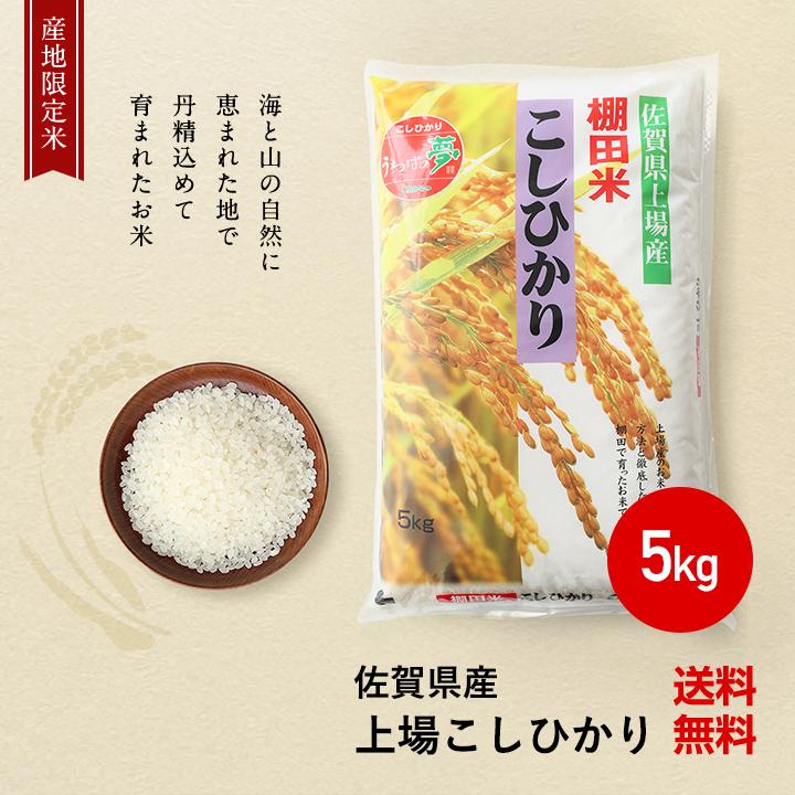 新米　令和5年　米 お米 5kg 送料無料 上場コシヒカリ 佐賀県産　令和5年度 5kg こしひかり