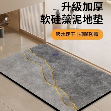 硅藻泥吸水地墊洗手間廁所地毯浴室衛生間門口衛浴防滑腳墊子