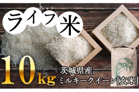 No.005 ミルキークイーン・玄米 10kg　令和5年産