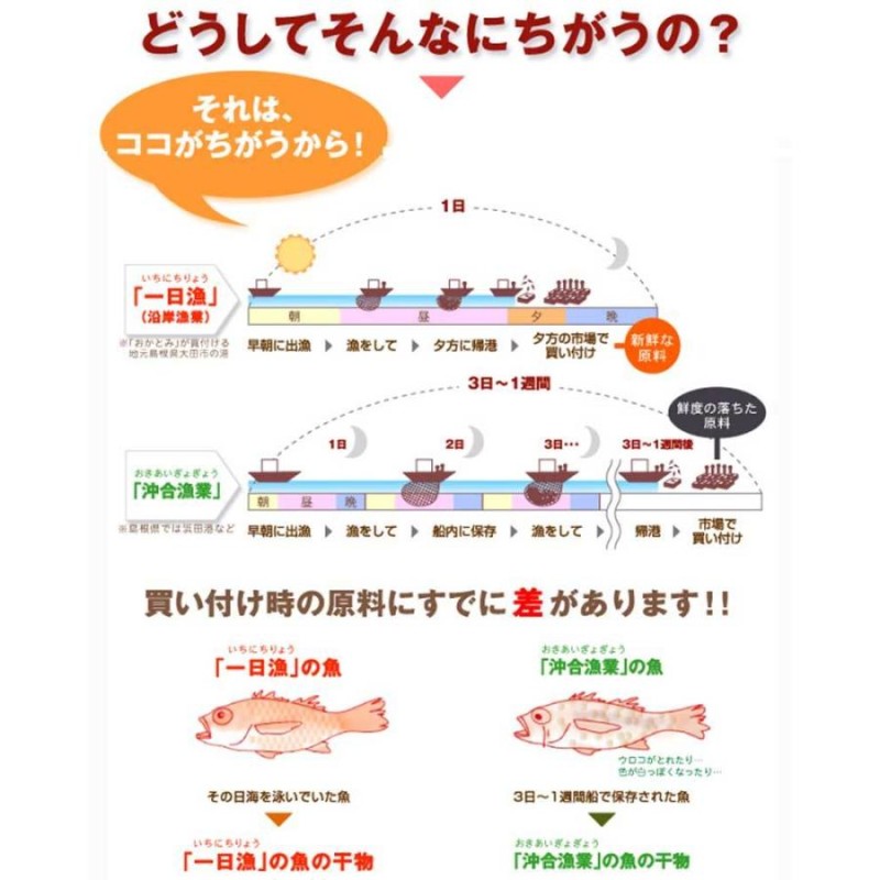 土産　ビタミンA　水揚げ　深層海水の天日塩使用　アナゴ　真あなご　島根県大田市　島根県　岡富商店　天女の羽衣〜あなご一夜干詰合せ　LINEショッピング