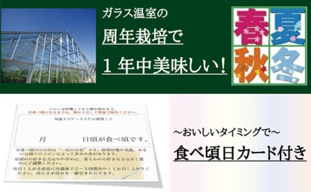 数量限定！クラウンメロン ”名人メロン” 3玉 ギフト箱入 人気 厳選 ギフト 贈り物 デザート グルメ 果物 袋井市