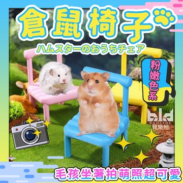 【療癒萌拍 小寵必備】倉鼠椅子 小動物拍照道具 迷你桌椅裝飾 倉鼠小寵物椅 倉鼠家具