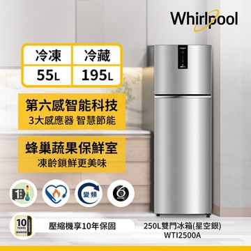 Whirlpool惠而浦 250公升1級能效上下門變頻冰箱WTI2500A(星空銀)