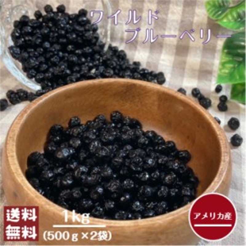 1kg　(500g×2袋)　ワイルドブルーベリー　送料無料　LINEショッピング　グラノーラ　製菓※出荷納期案内画像を必ずご確認ください　ドライ　メール便