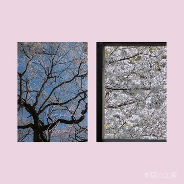 🌿日式昭和🌿日式海報 房間海報 富士山 櫻花 櫻花攝影風景海報臥室房間墻麵裝飾畵家居氛圍文藝浪漫拍照背景 SW36