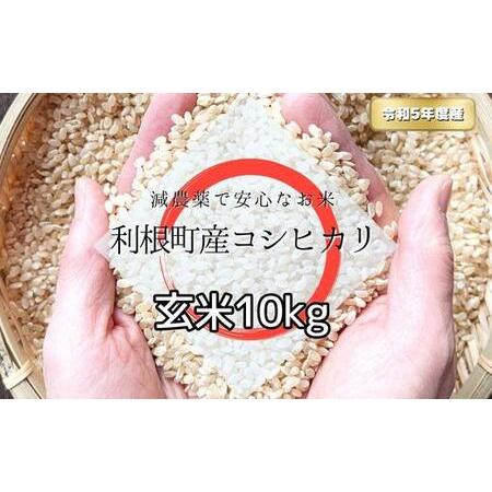 ふるさと納税 利根町産コシヒカリ　玄米10kg 茨城県利根町