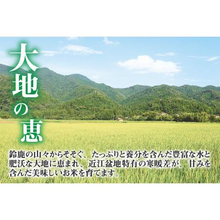 ふるさと納税 キヌヒカリ20kg（5kg × 4袋） おいしい多賀のお米 滋賀県多賀町