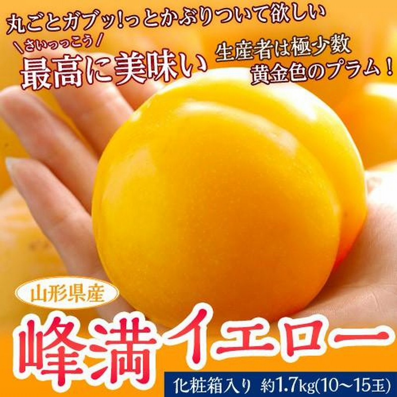 プラム すもも スモモ 山形県産 峰満イエロー 化粧箱 10〜15玉 約1.7kg