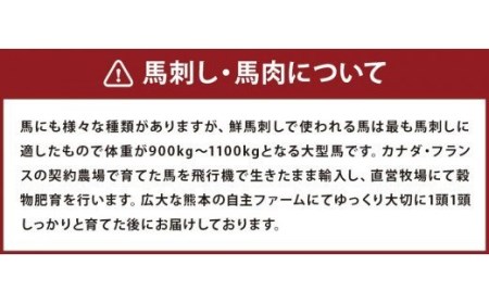 馬刺しバラエティー 約1.02kg 馬刺し 馬刺 馬肉 セット