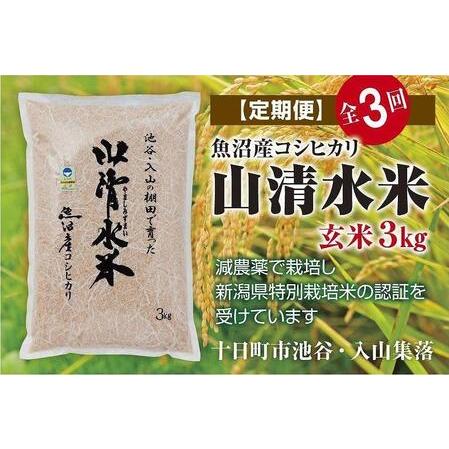 ふるさと納税 玄米3kg　新潟県魚沼産コシヒカリ「山清水米」 新潟県十日町市