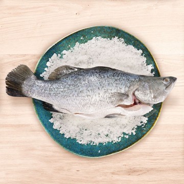預購3/28出貨-海賜澎湖海鱸魚550g(三清)，共三尾