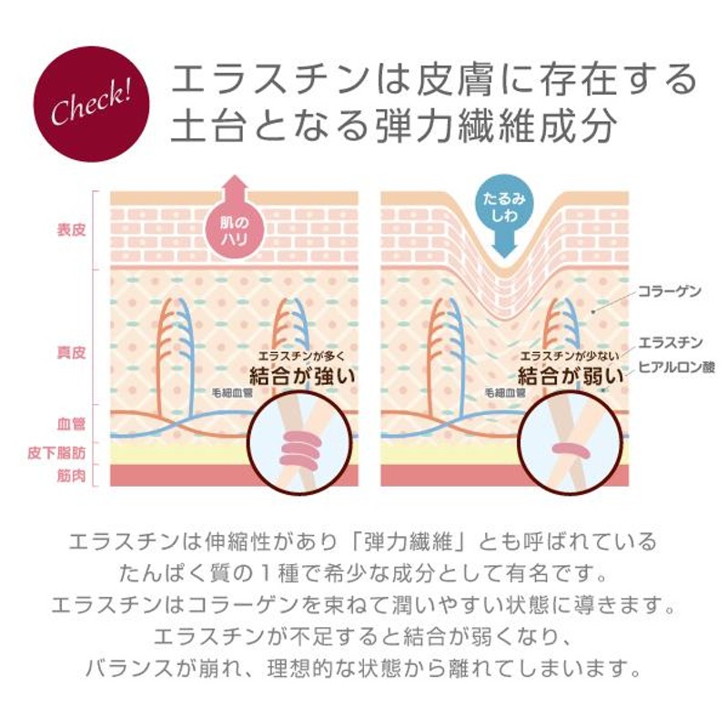 業界最高峰エラスチン75,000μg配合】『エラスチン 30カプセル』【約1