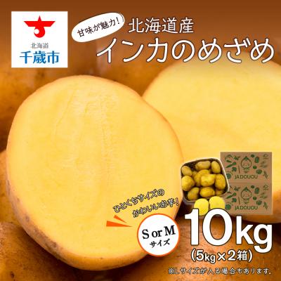 ふるさと納税 千歳市 馬鈴しょインカのめざめ 5kg×2箱