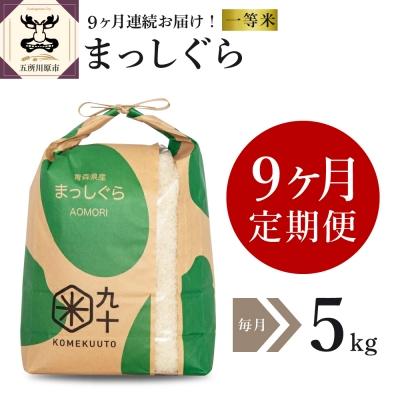 ふるさと納税 五所川原市  米 5kg まっしぐら 青森県産  定期便9回 5kg×9回