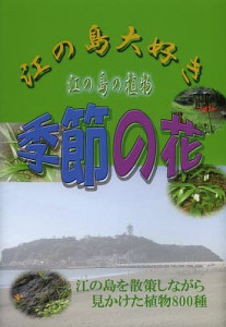 江の島大好き江の島の植物季節の花 江の島を散策しながら見かけた植物800種