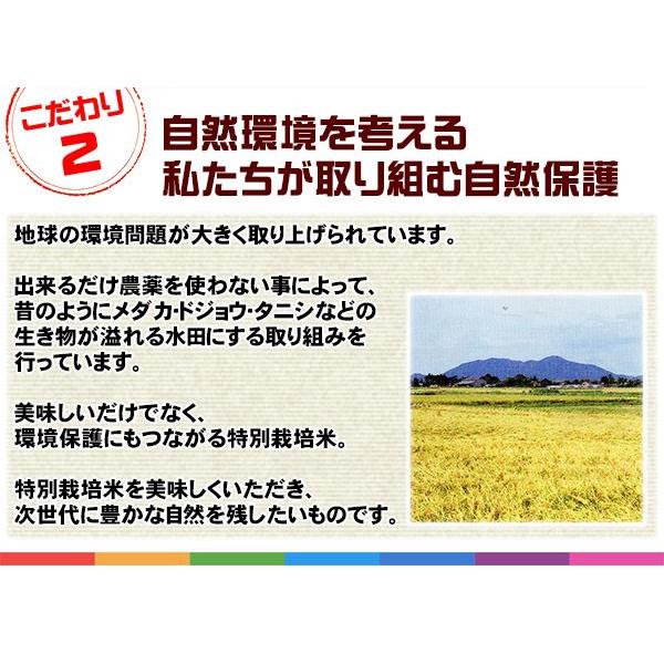 ((令和5年度))新潟ひかりっこ 新潟県産　特別栽培米　ひかりっこ米 2kg