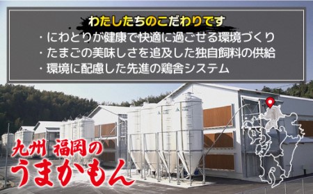 JAむなかたよりお届け！めぐみのたまご60個（55個＋補償5個）[E2278a]