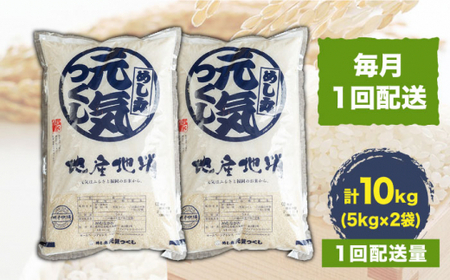 元気つくし 米 10kg 5kg×2袋＜南国フルーツ株式会社＞那珂川市 定期便 米 お米 精米 白米 [GCD034]