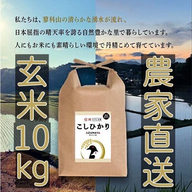 令和5年度産　10kg　玄米　コシヒカリ　立科町　たてしな　お米　おこめ　長野県　信州産　美味しい　5kg×2袋　送料無料