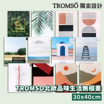 TROMSO北歐品味生活無框畫-30x40cm
