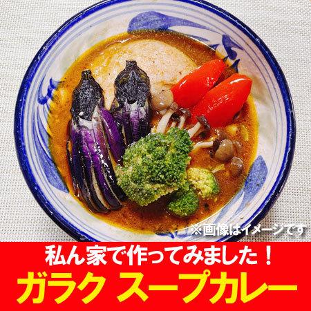 札幌スープカレー 送料無料 ガラク チキンスープカレー GARAKU スープカレー レトルト チキン カレー 3個