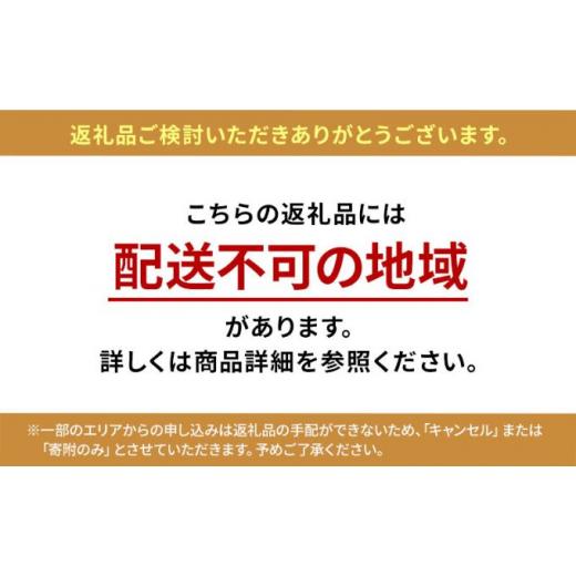 ふるさと納税 神奈川県 平塚市 いかすの有機野菜10袋